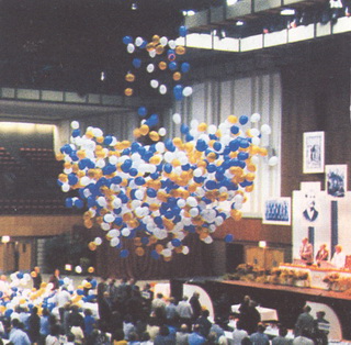250 adet balon yamuru hizmeti STA balon firmasi rndr 